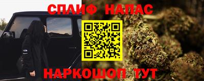 тгк Новозыбков