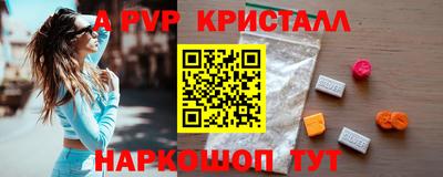 тгк Новозыбков