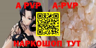 тгк Новозыбков