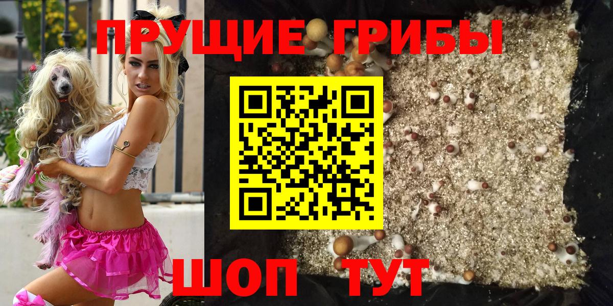 продажа наркотиков  Вход с VPN  Новошахтинск  Псилоцибиновые грибы мицелий 